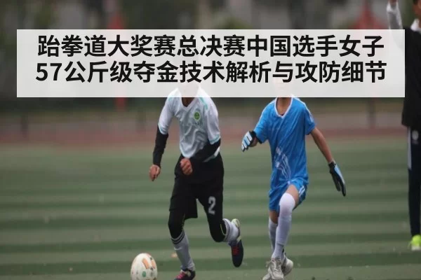 跆拳道大奖赛总决赛中国选手女子57公斤级夺金技术解析与攻防细节 | NG28